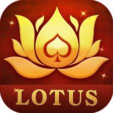 teen patti coin buy download
